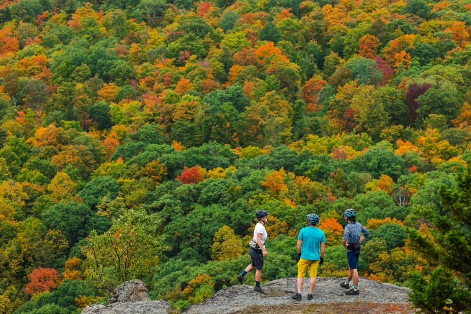 Mountain biking in the fall.