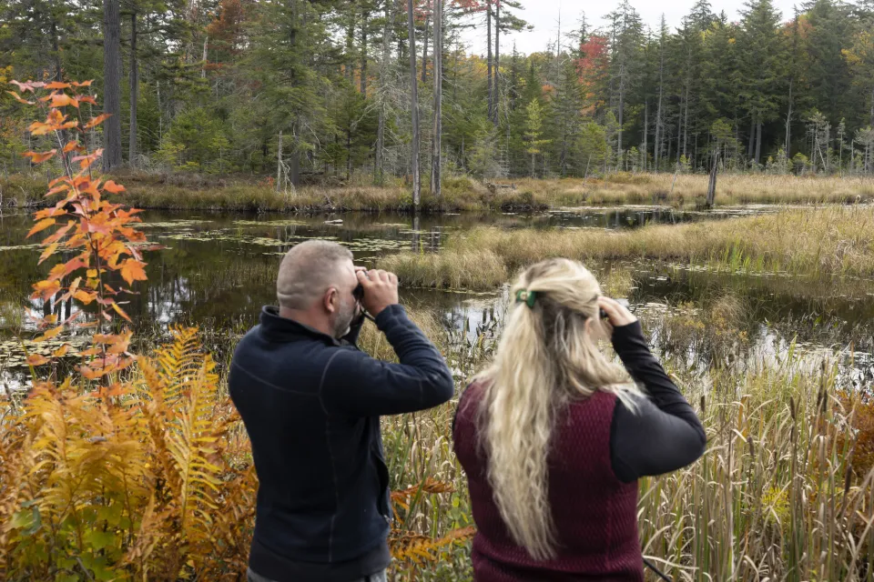 people birding